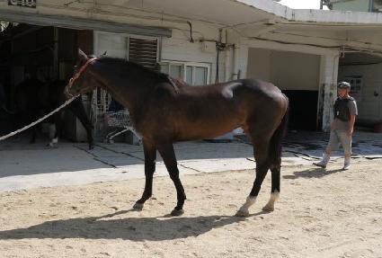 ���ʺ��� ����