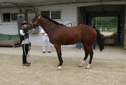 ���Ͻ�ī�� ����