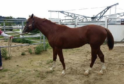 �ְ���庥ó ����