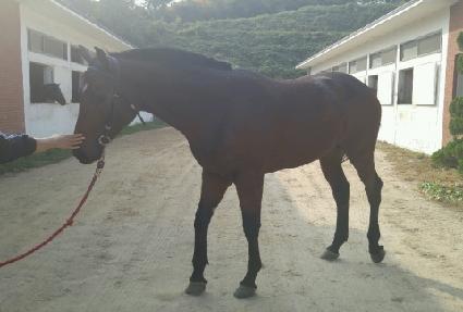 �ż���ô� ����