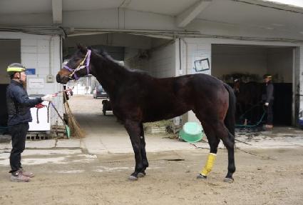 �̾ƹ̰� ����