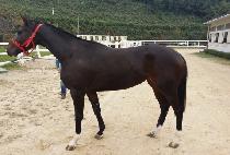 YEOKDONGUI JILJU picture