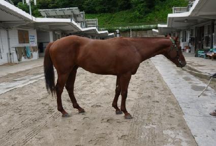 ���̾Ʒ��� ����