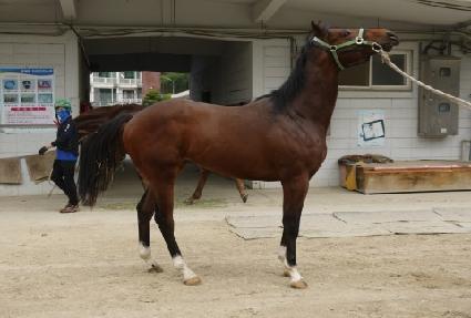 ŷ��ž ����