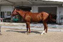 ���̾�ž (DIA TAP) ����