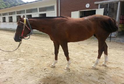 ���������� ����