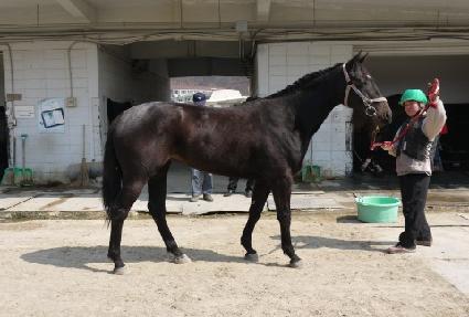 �帲ȣ�� ����