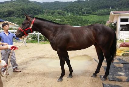 �����ǹ�Ģ ����