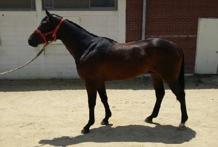 ���󸮿� ����