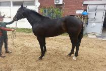 �������� (BYEOLBIT YEOHAENG) ����