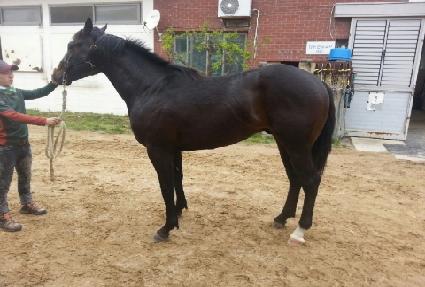 �������� ����