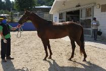 HAPPY SENSATION picture