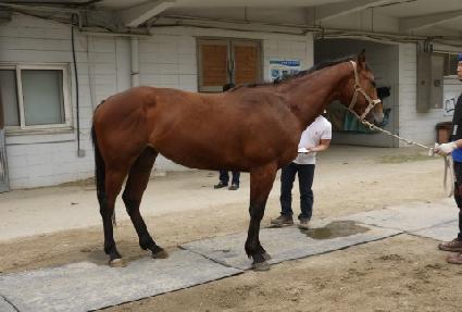 ���̼� ����