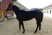 �������� (YEONGUNG YEOGEOL) ����