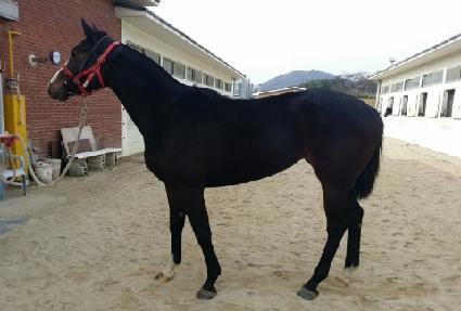 �������� ����