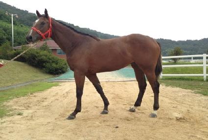 �屺���Ŀ� ����