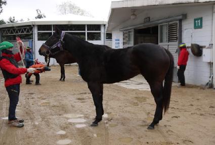 õ�� ����