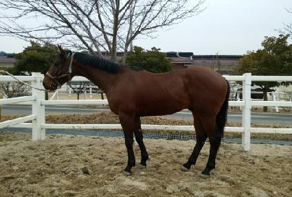 �ٿ����� ����