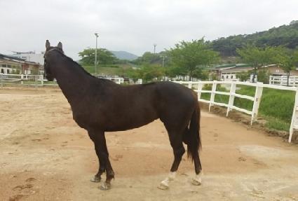 ������ ����