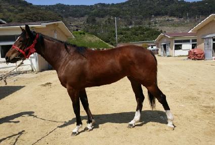 �����Ŀ� ����