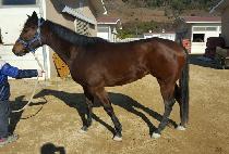 ���̾��� (WIRE BAND) ����