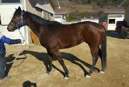 ���̾��� ����