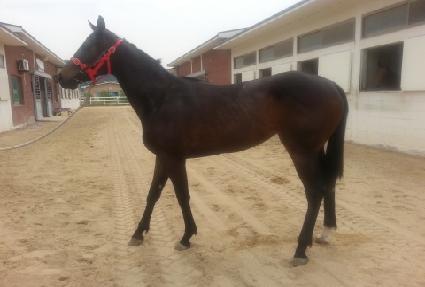 ȭ���Ѻ�ȭ ����