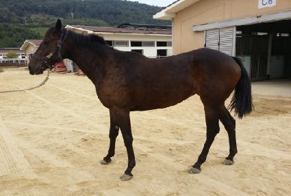 ȭ���ѿ�� ����