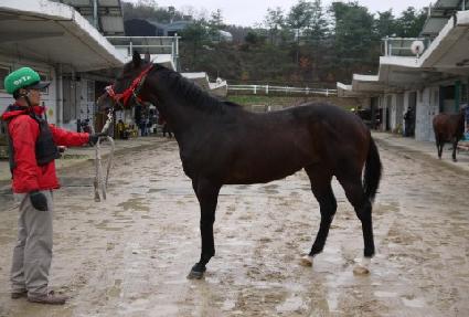 ��õ���� ����