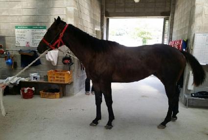 ����Ʈ�޸� ����