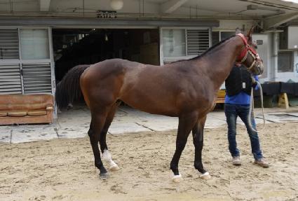 ������ƿ ����