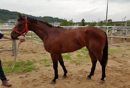 ���� ����