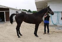 CLEAN UP WHISTLE picture