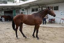 �赵���� (KWAEDO YEOWANG) ����