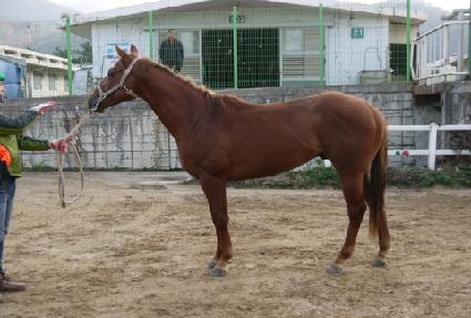 ����ǳ ����