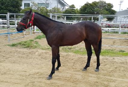 ���ӿ��� ����