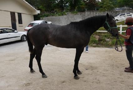 õ���ڶ� ����