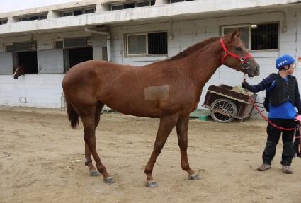 �˷����� ����