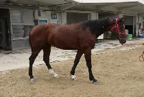 ���������ƾ (DELAGO MOUNTAIN) ����