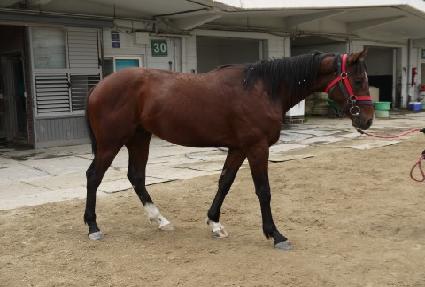 ���������ƾ ����