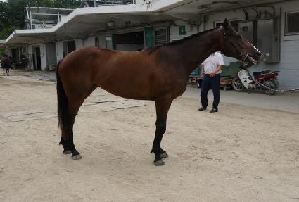 ������ȣ ����