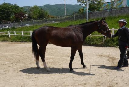 â�� ����