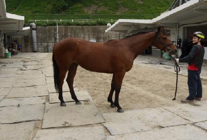 ��׽�ī�� ����