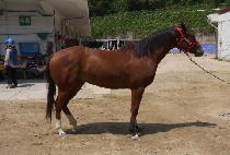 ī���� (CASOCO) ����