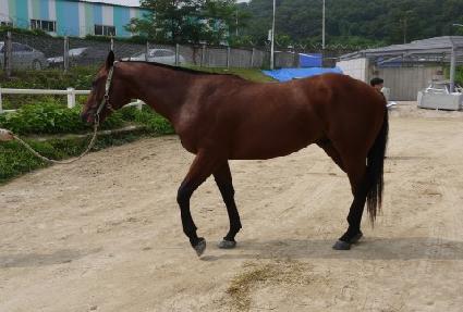 ��� ����