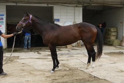 ���� ����