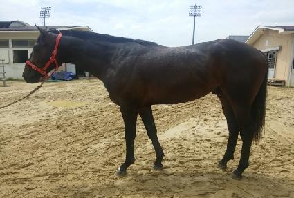 �����ο��� ����