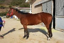 ��ƼǮ (BEAUTIFUL) ����