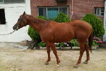 ���罺�� (BLUE STORM) ����