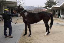 �����÷��� (THANDIPLOIT) ����